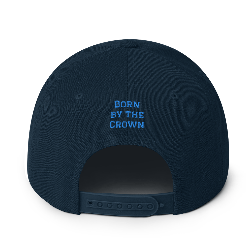 Men’s "Prince" Aqua logo Snapback Hat